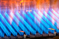 Glenegedale gas fired boilers